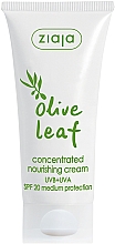 Парфумерія, косметика Крем для обличчя концентрований "Листя оливи" - Ziaja Olive Leaf Concentrated Nourishing Cream SPF20