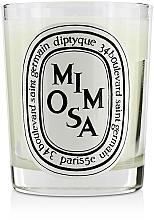 Духи, Парфюмерия, косметика Ароматическая свеча - Diptyque Mimosa Candle
