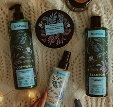 Шампунь для сухих волос - Vis Plantis Herbal Vital Care Shampoo For Dry And Matt Hair — фото N5