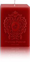 Tiziana Terenzi Spicy Snow - Парфумована свічка — фото N1