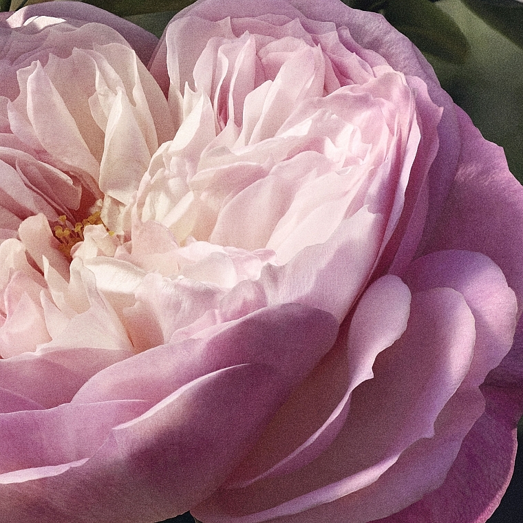 Chloé Rose Naturelle - Парфюмированная вода — фото N5