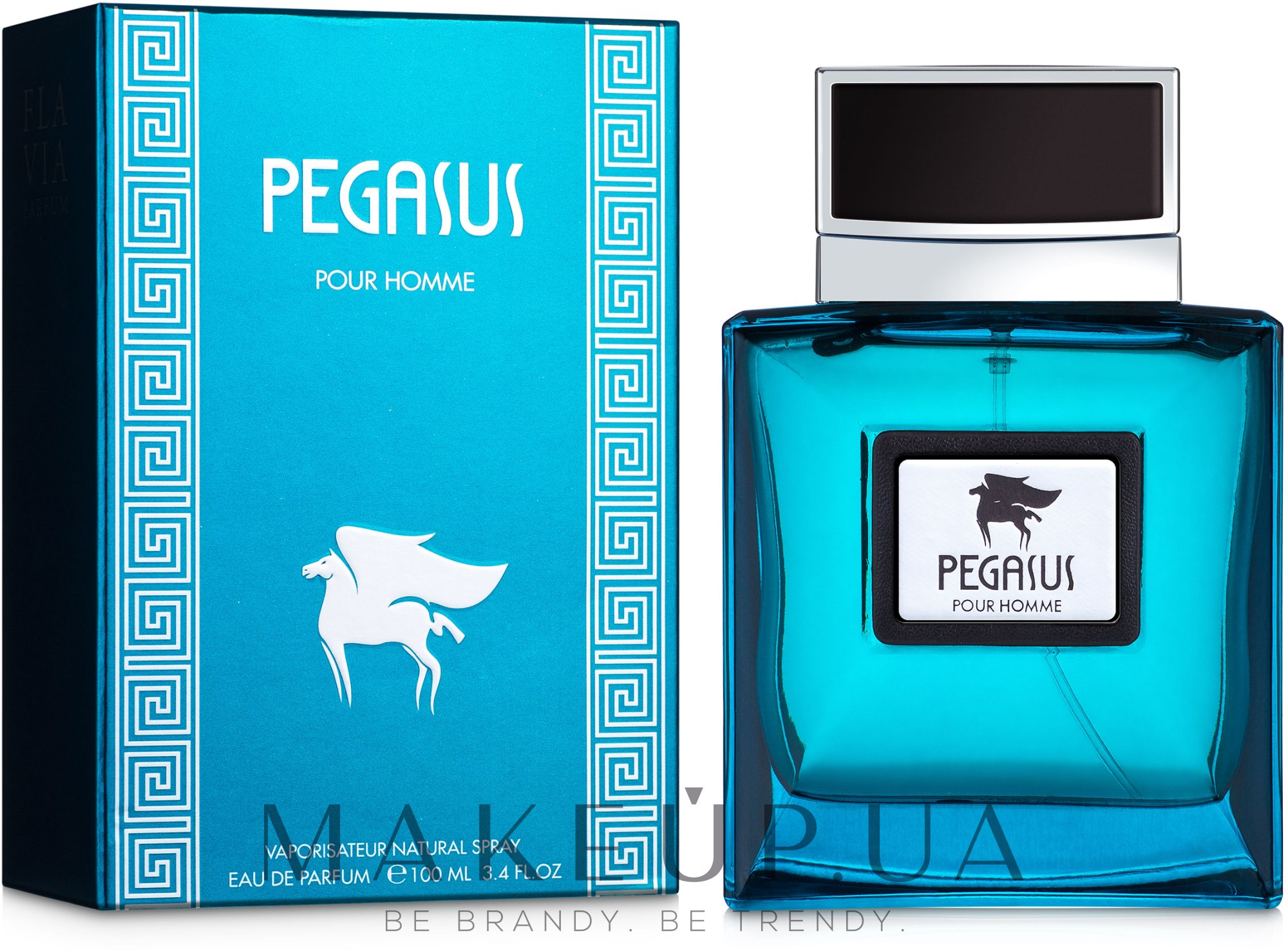 Flavia Pegasus Pour Homme - Парфюмированная вода — фото 100ml