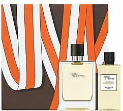 Духи, Парфюмерия, косметика Hermes Terre d’Hermes - Набор (edt/100ml + sh/gel/80ml)