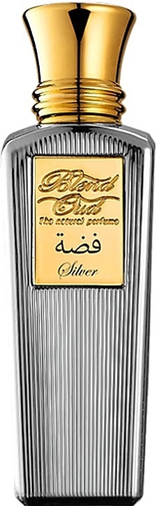 Blend Oud Silver - Парфюмированная вода — фото N1