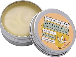 Парфумерія, косметика Бальзам для губ - The Beemine Lab BD Repair Lip Balm