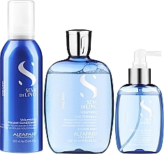 Набор - Alfaparf Semi di Lino Volume Holiday Kit 2022 (shmp/250ml + cond/200ml + spray/125ml) — фото N2