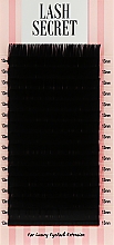 Парфумерія, косметика Накладні вії, чорні, 16 ліній (один розмір, 0,07, C, 13) - Lash Secret