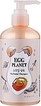 Шампунь для волос с экстрактом овсяных хлопьев - Daeng Gi Meo Ri Egg Planet Oatmeal Shampoo — фото N1