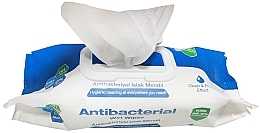 Антибактериальные влажные салфетки, 100 шт - Aksan Deep Fresh Antibacterial Wet Wipes — фото N2