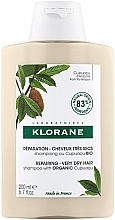 Парфумерія, косметика Шампунь для волосся - Klorane Cupuacu Nourishing & Repairing Shampoo