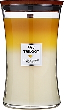 Ароматическая свеча с трехслойным ароматом - Woodwick Large Trilogy Fruits Of Summer — фото N1