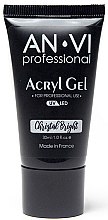 Духи, Парфюмерия, косметика Акрил-гель для ногтей - AN-VI Professional Acryl Gel