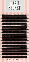 Накладные ресницы, черные, 16 линий (один размер, 0.1, D, 8) - Lash Secret — фото N1