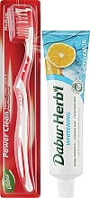 Набір "Salt & Lemon", червоний - Dabur Herb`l (toothbrush/1шт. + toothpaste/150g) — фото N2