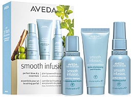 Парфумерія, косметика Набір - Aveda Smooth Infusion Discovery Set (shm/50ml + cond/40ml + h/spray/50ml)