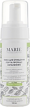 Духи, Парфюмерия, косметика Пенка для умывания для проблемной кожи - Marie Fresh Cosmetics Acne Off Cleansing Foam