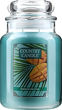 Ароматическая свеча - Country Candle Mango Nectar — фото N2