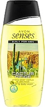 Парфумерія, косметика Шампунь-гель для душу "Кактус" 2в1 для чоловіків - Avon Senses Cactus Ridge Hair & Body Wash