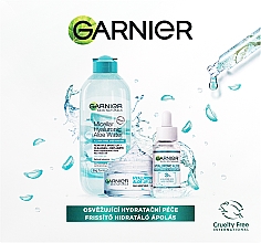 Набор - Garnier Skin Naturals Hyaluronic Aloe (cr/50ml + micc/wat/400ml + serum/30ml) — фото N2