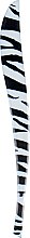 Парфумерія, косметика Пінцет професійний скошений, 9056, зебра - SPL Professional Tweezers