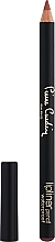 Духи, Парфюмерия, косметика Влагостойкий карандаш для губ - Pierre Cardin Lipliner Waterproof