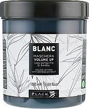 Маска для збільшення об'єму волосся - Black Professional Line Blanc Volume Up Mask — фото N3