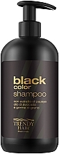 Шампунь для нейтралізації жовтизни освітленого волосся - Trendy Hair Black Color Shampoo — фото N1