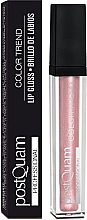 Парфумерія, косметика Блиск для губ - PostQuam Color Trend Lip Gloss