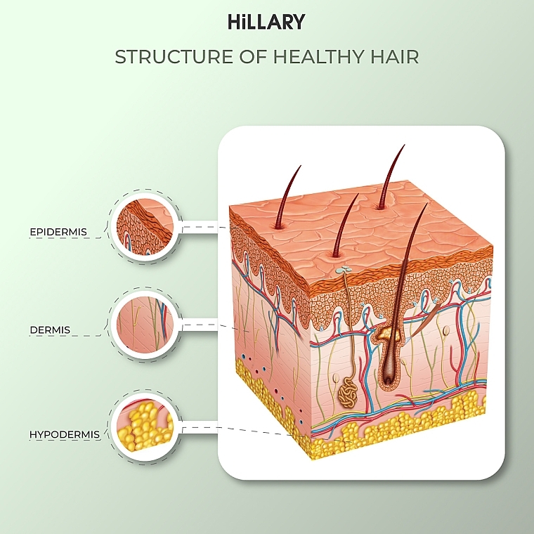 Набор "Комплекс для роста волос" - Hillary Hop Cones & B5 Hair Growth Invigorating (sh/250ml + cond/250ml + mask/200ml) — фото N16