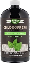 Харчова добавка "Рідкий хлорофіл", м'ята - Nature’s Way Chlorofresh Liquid Chlorophyll — фото N1