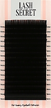 Парфумерія, косметика Накладні вії, чорні, 16 ліній (один розмір, 0.1, D, 14) - Lash Secret