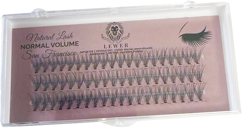 Lewer Natural Lash Normal Volume San Francisco - Накладні вії в пучках, 14 мм C, 60 шт. — фото N1