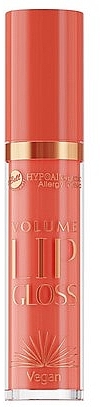 Блиск для губ - Bell Hypoallergenic Volume Lip Gloss — фото N1