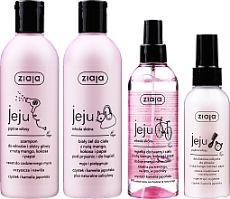 Набір - Ziaja I Love Ziaja (h/cond/125ml + h/shampoo/300ml + b/lot/200ml + shower/gel/300ml) — фото N2