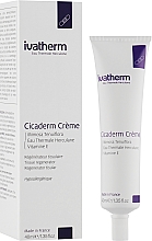 Восстанавливающий крем с экстрактом мимозы - Ivatherm Cicaderm Cream Tissue Regenerator With Mimoza Tenuiflora — фото N2