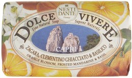 Мило "Капрі" - Nesti Dante Dolce Vivere Capri Soap — фото N1