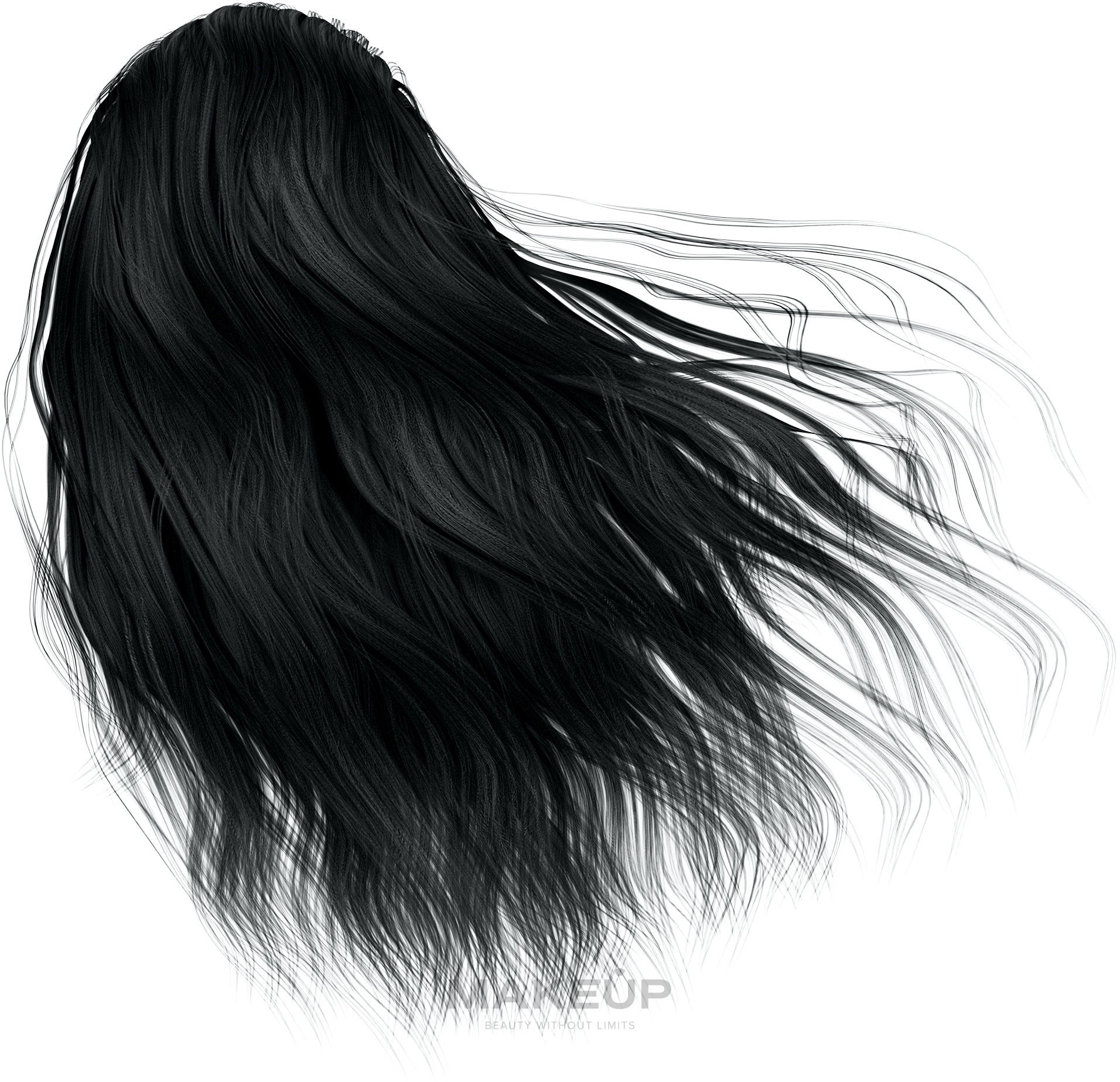 Крем-фарба для волосся без аміаку - Farmavita B. Life Color — фото 2.0 - Крем-краска черный