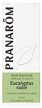 Духи, Парфюмерия, косметика Эфирное масло "Эвкалипт лучистый" - Pranarom Essential Oil Radiata Eucalyptus