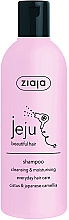 Очищающий и увлажняющий шампунь для волос - Ziaja Jeju Cleansing & Moisturizing Hair Shampoo — фото N1