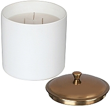 Ароматическая свеча "Табак и ваниль", 3 фитиля - Paddywax Hygge Ceramic Candle White Tobacco & Vanilla — фото N2