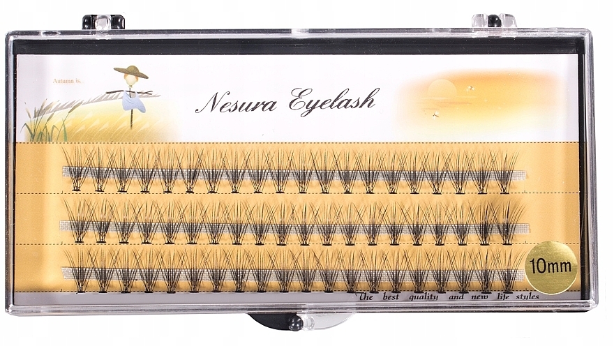 Накладные ресницы пучковые C 10 мм, 60 шт. - Nesura Eyelash Premium — фото N1