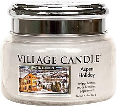 Ароматическая свеча в банке - Village Candle Aspen Holiday Glass Jar — фото N2