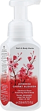 Рідке мило для рук - Bath and Body Works Japanese Cherry Blossom Gentle Clean Foaming Hand Soap — фото N1