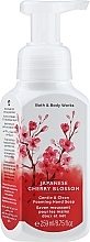 Жидкое мыло для рук - Bath and Body Works Japanese Cherry Blossom Gentle Clean Foaming Hand Soap — фото N1