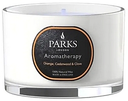 Ароматическая свеча - Parks London Aromatherapy Orange, Cedarwood & Clove Candle — фото N1