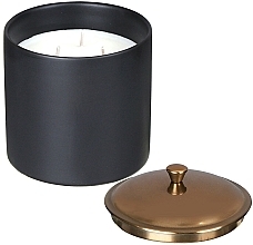 Ароматична свічка "Бергамот і червоне дерево", 3 ґноти - Paddywax Hygge Ceramic Candle Black Bergamot & Mahogony — фото N2