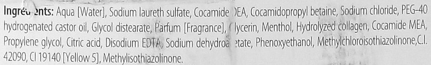 Шампунь зі свіжою м'ятою і ментолом освіжальний - Dott. Solari Science & Welness Fresh Mint Shampoo With Menthol Salon Size — фото N3