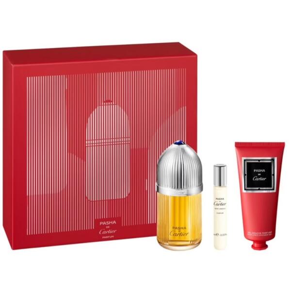 Cartier Pasha de Cartier Parfum perfume 100ml perfume