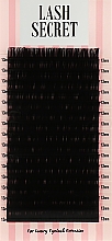 Накладные ресницы, черные, 16 линий (один размер, 0,05, D, 13) - Lash Secret — фото N1