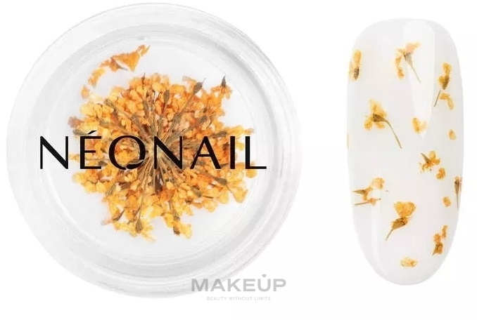 Сухоцветы для дизайна ногтей - NeoNail Professional — фото 03 - Orange